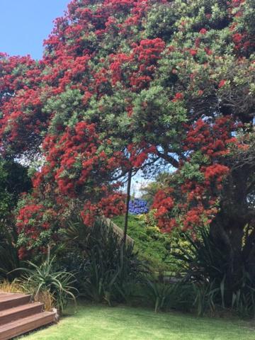 Absolute Waterfront Serenity Near Auckland Clarks Beach Exterior foto